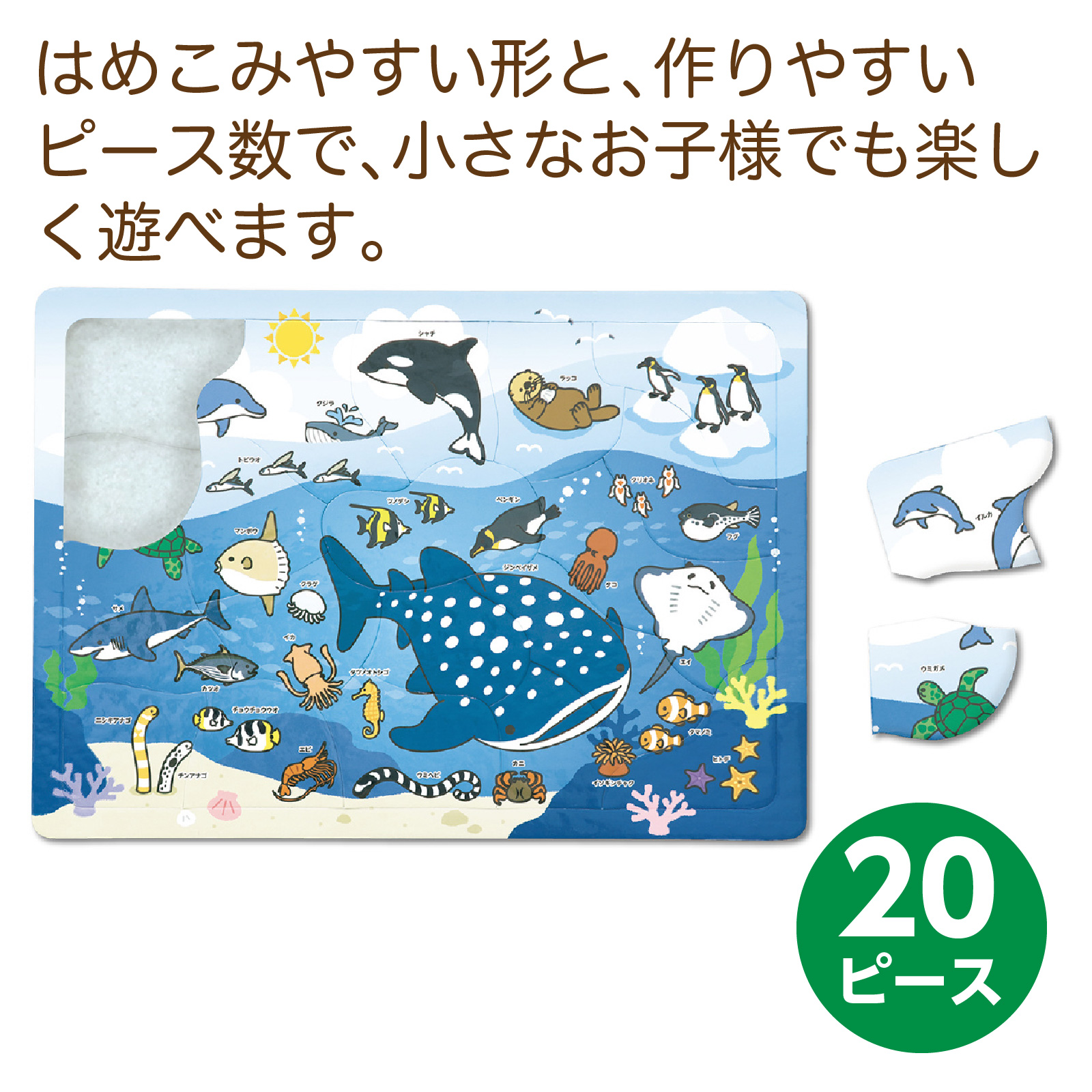 海のいきものパズル