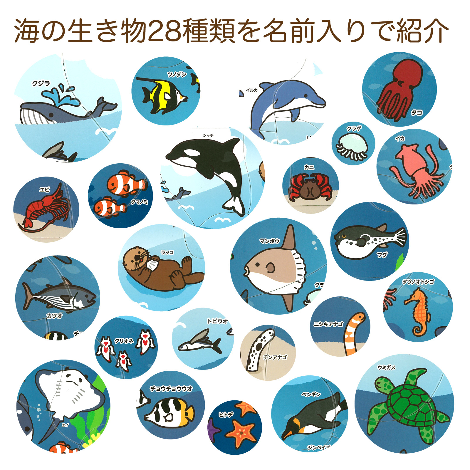 海のいきものパズル