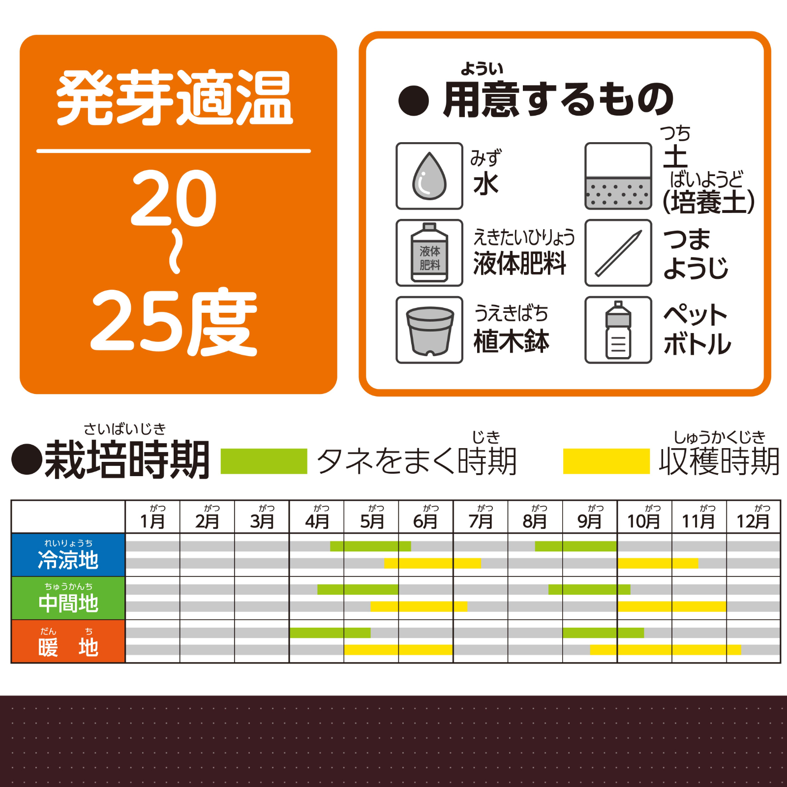 お家で楽しく栽培キット チンゲンサイ